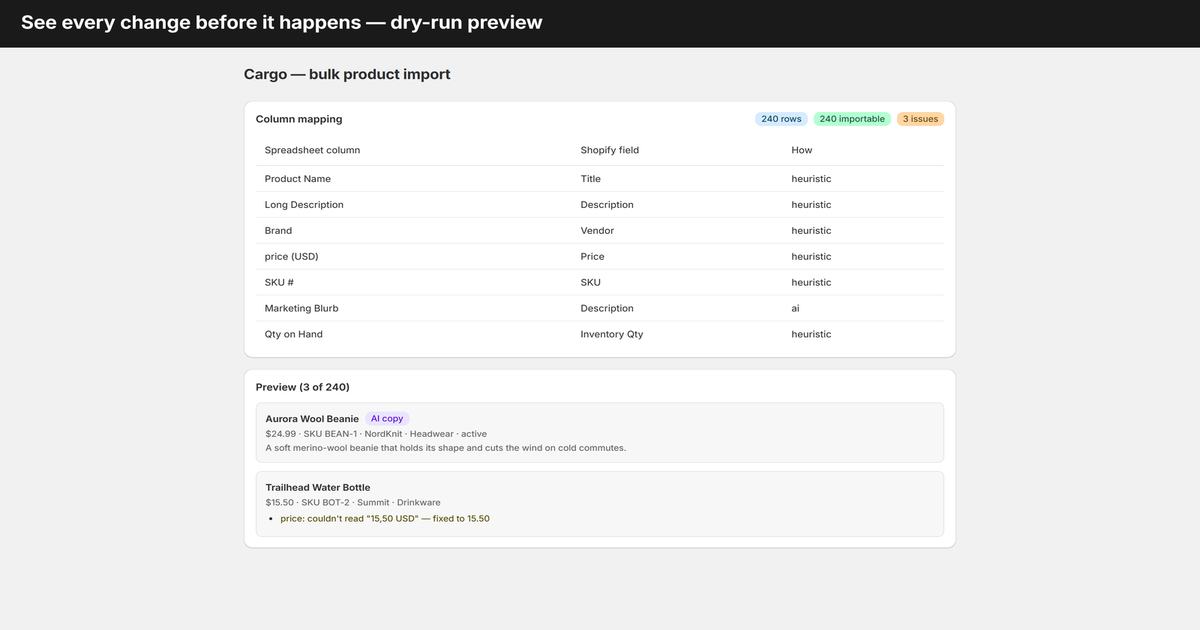 Cargo import preview inside the Shopify admin